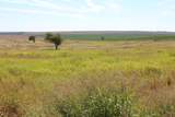 325 acres Childress - Photo 4