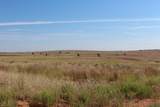 325 acres Childress - Photo 7