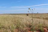 325 acres Childress - Photo 8