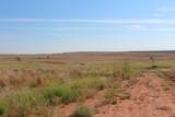 325 acres Childress - Photo 9