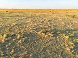  Wise Ranch 3,433.84 Acres - Photo 14