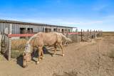 17201 Old Ranch Road - Photo 25