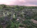 9515 Rm 1061 (Tascosa Rd) - Photo 32