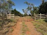 6761 County Rd 11 - Photo 2