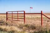  Highway 60 - Photo 29