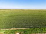  Busby Farms 516.34 Ac Cr 625 - Photo 14