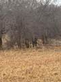  County Road 10 - Photo 13
