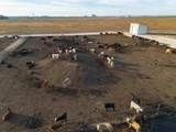  Crow Cattle Growyard - Photo 12