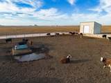  Crow Cattle Growyard - Photo 13