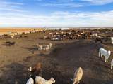  Crow Cattle Growyard - Photo 14