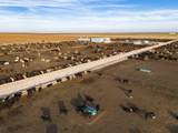  Crow Cattle Growyard - Photo 15