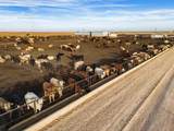  Crow Cattle Growyard - Photo 16