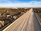 Crow Cattle Growyard - Photo 17