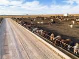  Crow Cattle Growyard - Photo 18
