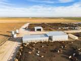  Crow Cattle Growyard - Photo 19