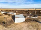  Crow Cattle Growyard - Photo 22