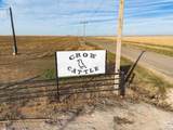  Crow Cattle Growyard - Photo 24