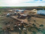  Crow Cattle Growyard - Photo 26