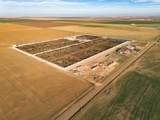  Crow Cattle Growyard - Photo 31