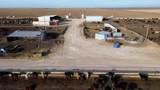  Crow Cattle Growyard - Photo 33