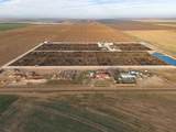  Crow Cattle Growyard - Photo 9