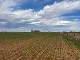 TBD Farm To Market Road 2042 - Photo 9