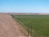  Browder Place - Photo 11