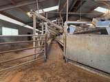  Cal Star Dairy - Photo 8