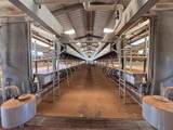  Cal Star Dairy - Photo 9