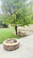 1817 Christine Street - Photo 31