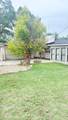 1817 Christine Street - Photo 39