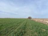  Tbd State Highway 6 - Photo 17