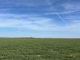  Tbd State Highway 6 - Photo 5