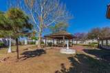 3 Sandstone Drive - Photo 67