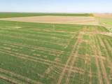  Tract 1 Pullman Road &plusmn;75Ac - Photo 5