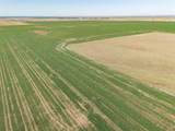  Tract 1 Pullman Road &plusmn;75Ac - Photo 6