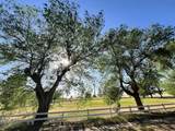 409 Azalea Street - Photo 12