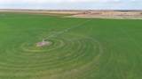  Dodd Farm &plusmn;651.6Ac Nw Briscoe - Photo 1