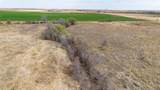  Dodd Farm &plusmn;651.6Ac Nw Briscoe - Photo 14