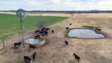  Dodd Farm &plusmn;651.6Ac Nw Briscoe - Photo 18