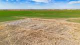  Dodd Farm &plusmn;651.6Ac Nw Briscoe - Photo 25