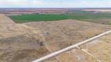  Dodd Farm &plusmn;651.6Ac Nw Briscoe - Photo 8