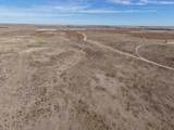 Dodd Grass 480Ac County Line Road - Photo 11