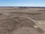  Dodd Grass 480Ac County Line Road - Photo 12