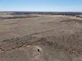  Dodd Grass 480Ac County Line Road - Photo 13