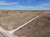  Dodd Grass 480Ac County Line Road - Photo 17