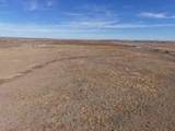  Dodd Grass 480Ac County Line Road - Photo 20