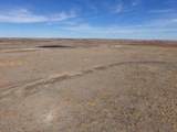  Dodd Grass 480Ac County Line Road - Photo 21
