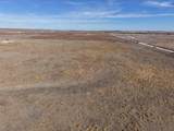  Dodd Grass 480Ac County Line Road - Photo 22
