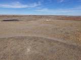  Dodd Grass 480Ac County Line Road - Photo 23